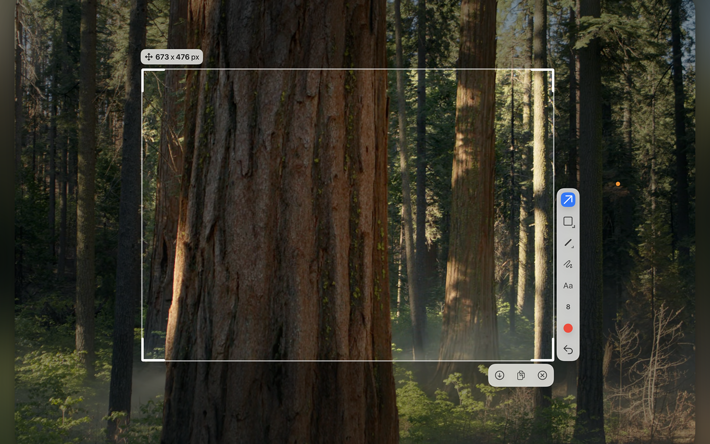 Sleekshot running on macOS with light theme